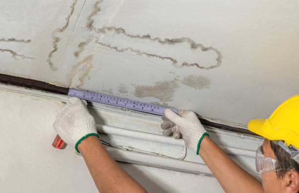 Reliable Mold Remediation contractor in Arrington, TN by Water Damage Irwin
